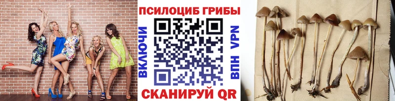 как найти наркотики Чулым Псилоцибиновые грибы мицелий
